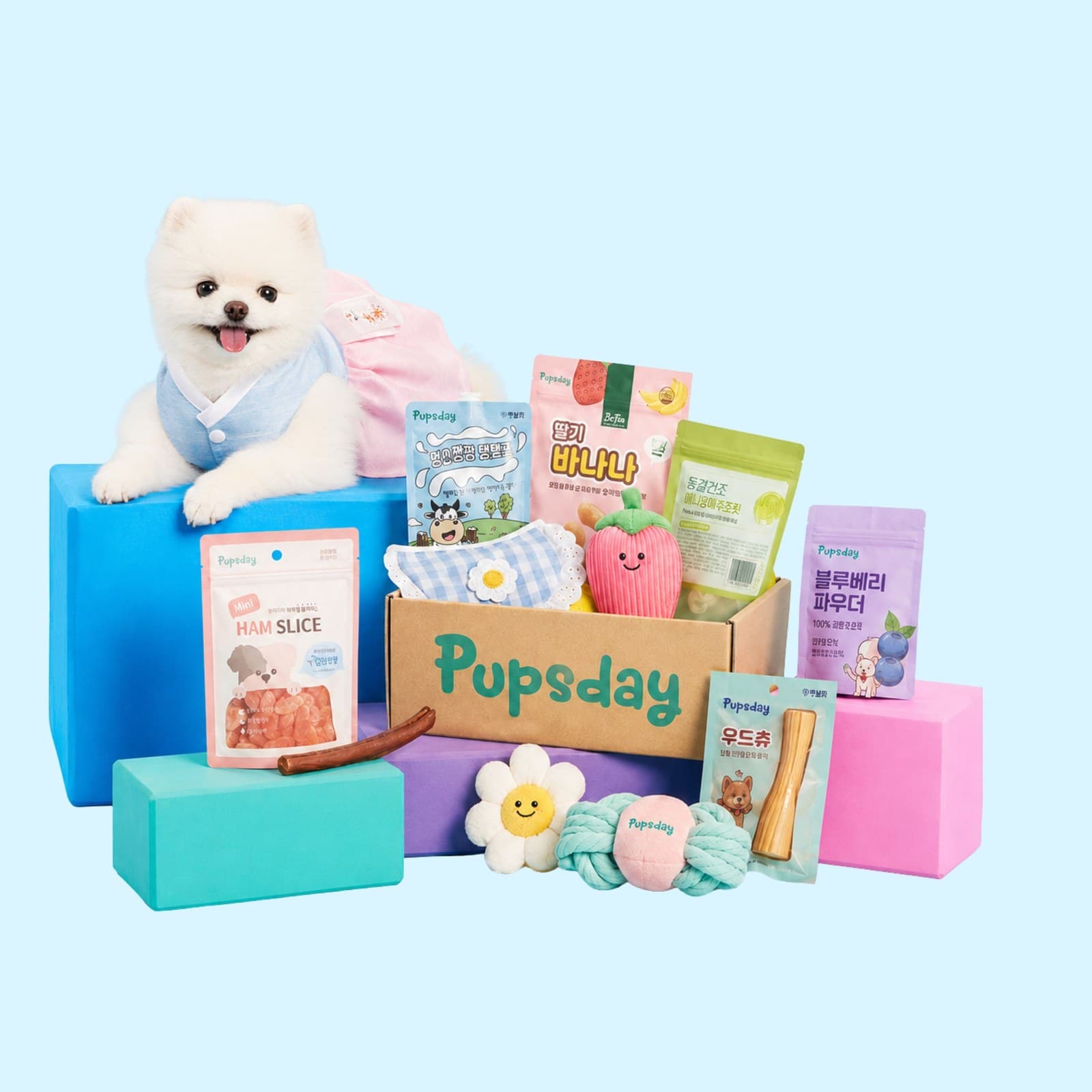 Pupsday Korean Treat Box for Dogs.